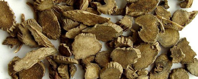 川牛膝优点以及注意事项(川牛膝的禁忌是什么)