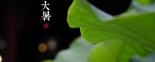 描写大暑的唯美句子简短有哪些(描写大暑的佳句)