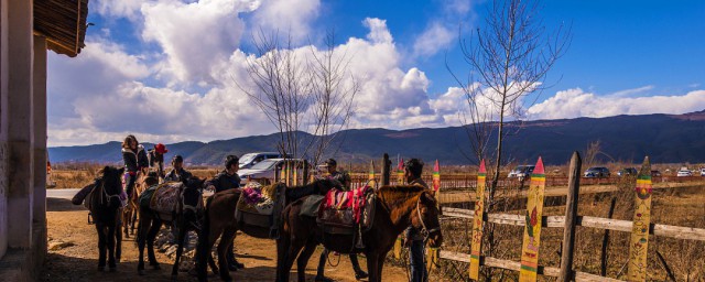 去丽江旅游的最佳季节(什么月份最适合去丽江旅游)
