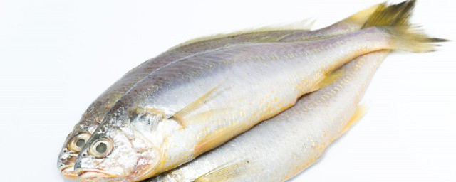 梭边鱼的禁忌人群有哪些(梭边鱼的功效与作用禁忌)