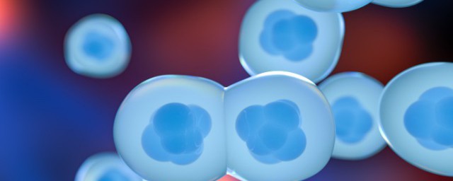 细胞培养注意事项有什么(细胞培养过程中需要注意哪些细节)