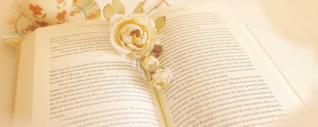 赛高日语解释(赛高日语的用法)