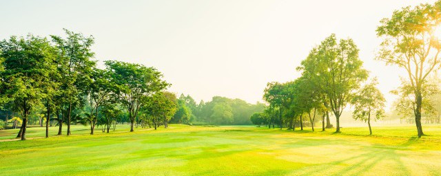 绿意盎然中盎然啥意思(绿意盎然突出来盎然的意思是什么)