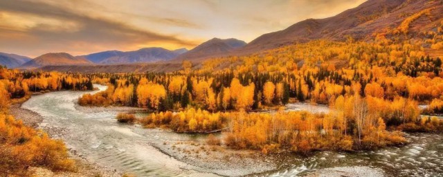 新疆别名别称(新疆的简称或别称是什么)