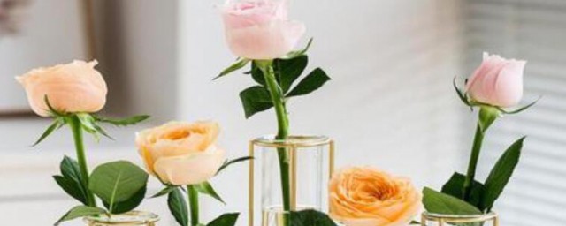 插花水里放哪些东西活得久(插花水中放什么容易活)