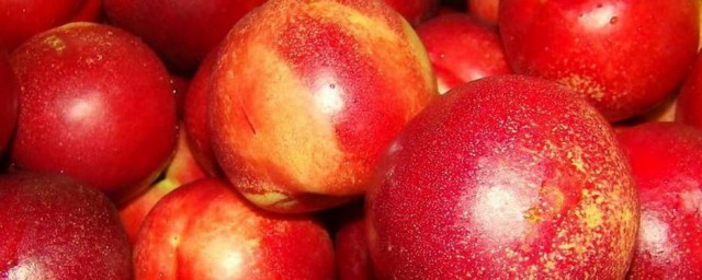 西瓜和油桃一起吃好吗(吃西瓜和油桃一起吃有什么不好吗?)