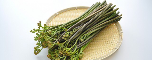 处理蕨菜需要注意哪些事项(吃蕨菜注意事项)