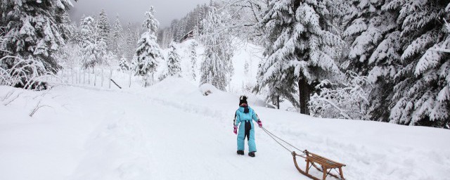 东北三省各自的省会是什么(东北哪三省的省会分别是)