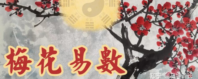 啥人不能学梅花易数(梅花易数好学么)