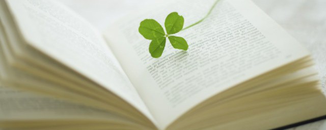 夜不能寐如何解释(夜中不能寐是什么意思)