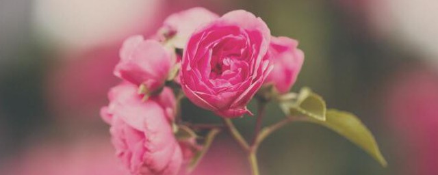 接地气的鼓励别人加油的话有哪些(鼓励别人加油的一句话)