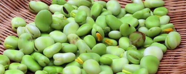 蚕豆需不需要焯水(蚕豆新鲜蚕豆怎么焯水)