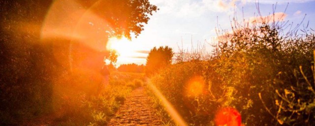 适合八月发朋友圈的句子说说(八月发朋友圈的句子 心情短句)