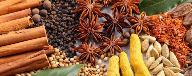 调料小茴香有哪些用法(调料茴香怎么用)