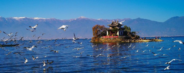 苍山洱海介绍(苍山洱海介绍简短)