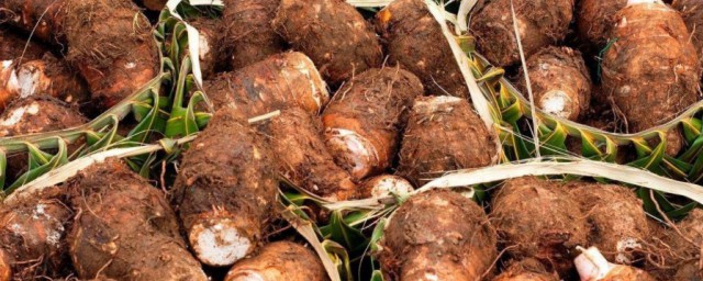 芋头杆的功效是什么(芋头杆的功效与营养价值)