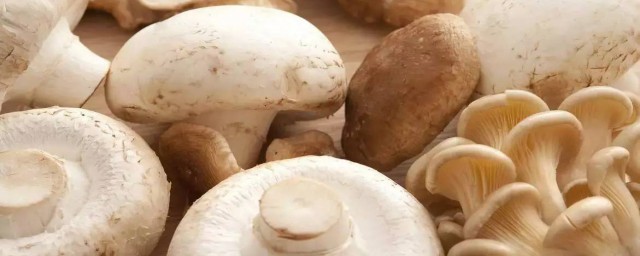 炒蘑菇前要不要焯水怎样做才好吃(炒蘑菇需要先焯水吗?)