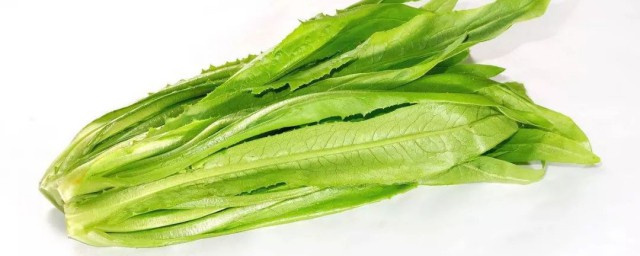 油麦菜能不能生吃(油麦菜可以生吃吗可以生吃吗)