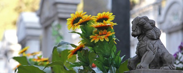 扫墓时间有什么讲究(正月扫墓时间有什么讲究)