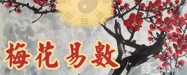 梅花易数是不是什么都能预测(为什么梅花易数能预测未来)