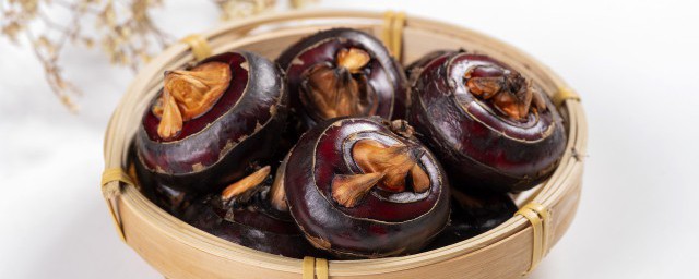 马蹄是什么(马蹄是什么东西)