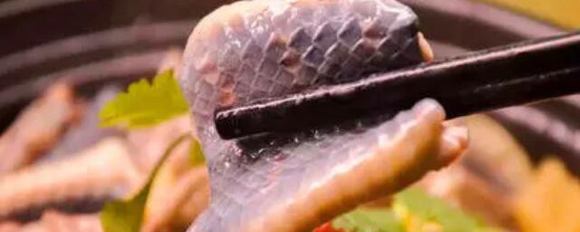 吃蛇肉的禁忌有哪些(吃蛇肉不可以吃什么)