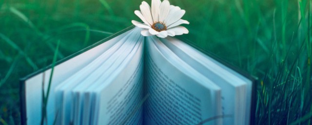 机场值机解释(机场值机员什么意思)