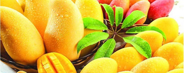 芒果和枇杷可以一起吃吗(枇杷可以跟芒果一起吃吗?)