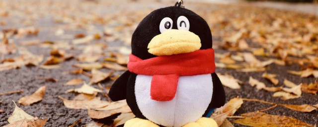 电脑qq消息管理器位置 在哪里