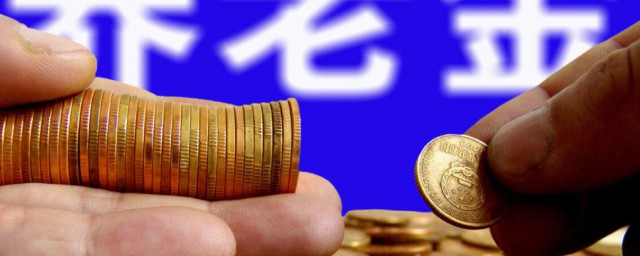 两金指的是什么(工程两金指的是什么)