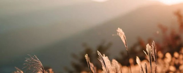 描写早上太阳的句子(描写早上太阳光的句子)