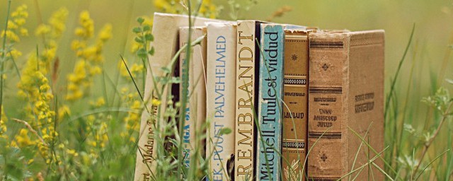 ml意思解释(ML其它意思)