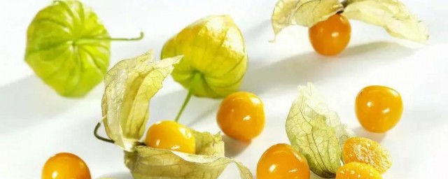 黄姑娘果的禁忌人群有哪些(黄姑娘果好吃吗)