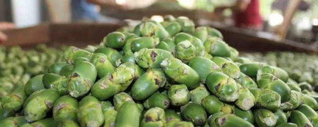 槟榔有哪些作用与禁忌(槟榔的禁忌症)