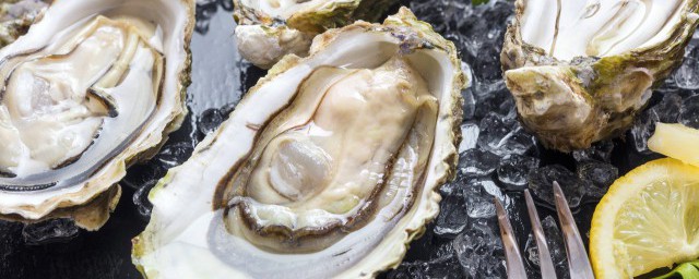 生蚝怎么储存放的时间久又保鲜(鲜生蚝怎么保存时间长)