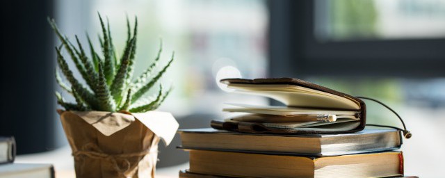 以梦为马不负芳华的解释(以梦为马 不负芳华)