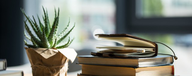 历史姓王的名人简介(有关姓王的历史名人)