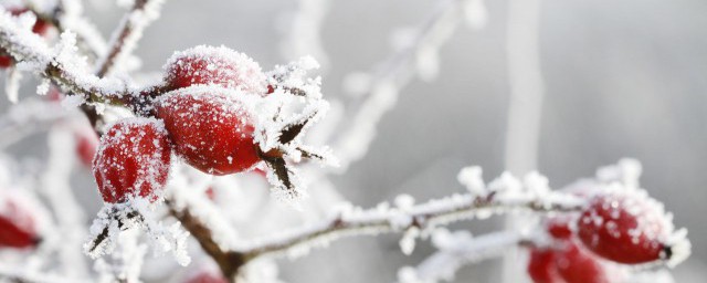 数九是啥意思(九是什么数字)