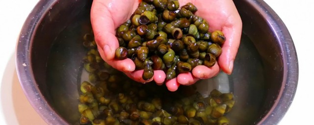 怎么让螺丝吐泥沙(螺丝怎么让它吐沙)