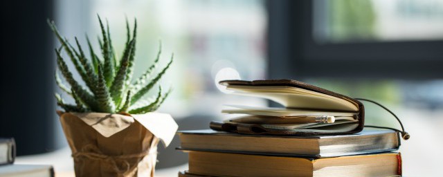 揠苗助长的道理(揠苗助长的道理二年级下册)