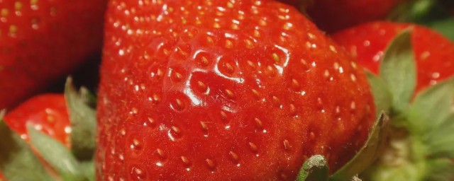 草莓放久了有酒味还能吃吗(草莓酒放久了还能喝吗?)