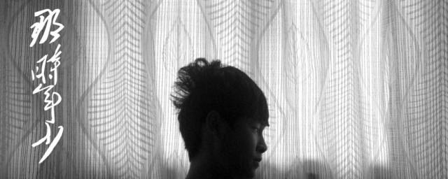 关于那时年少的歌词介绍(那时年少歌词含义)