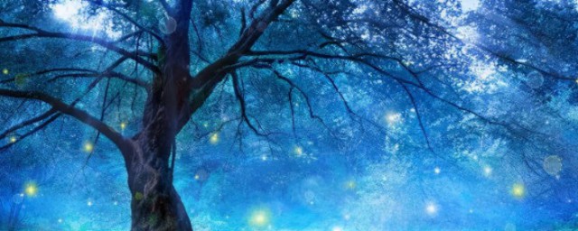 白月光和朱砂痣的理解(白月光与朱砂痣怎么理解)