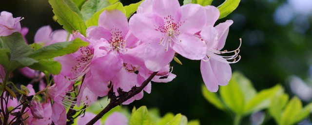 不同的话有不同的寓意(不同的话表达同一个意思)