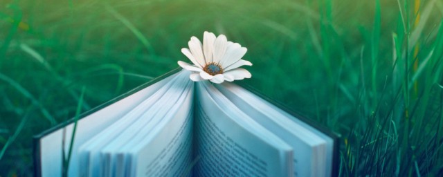 百花行赏析(百花行的意思)