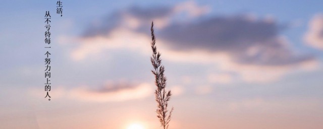 不念过往只慕余生意思(不念过往,只慕余生类似的句子)