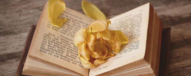 使君何日当还的解释(使君何日当还断句)