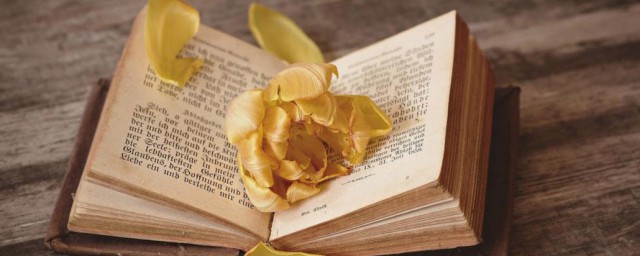 有哪些对男朋友的特别昵称备注(给男朋友的备注特别的昵称大全)