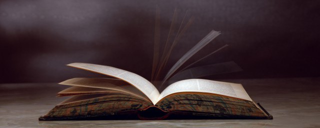 树高百尺落叶归根的含义(树高百尺落叶归根的意思是什么)