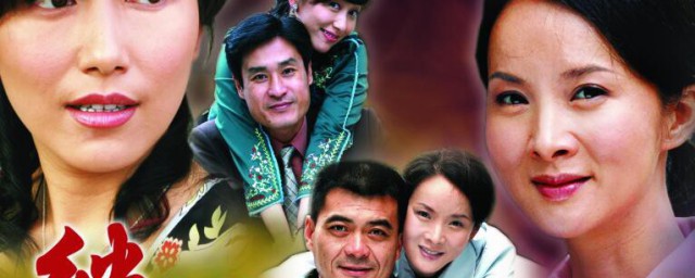 薛礼燕是啥电视剧里的人物(电视剧薛礼燕是电视剧名叫什么)